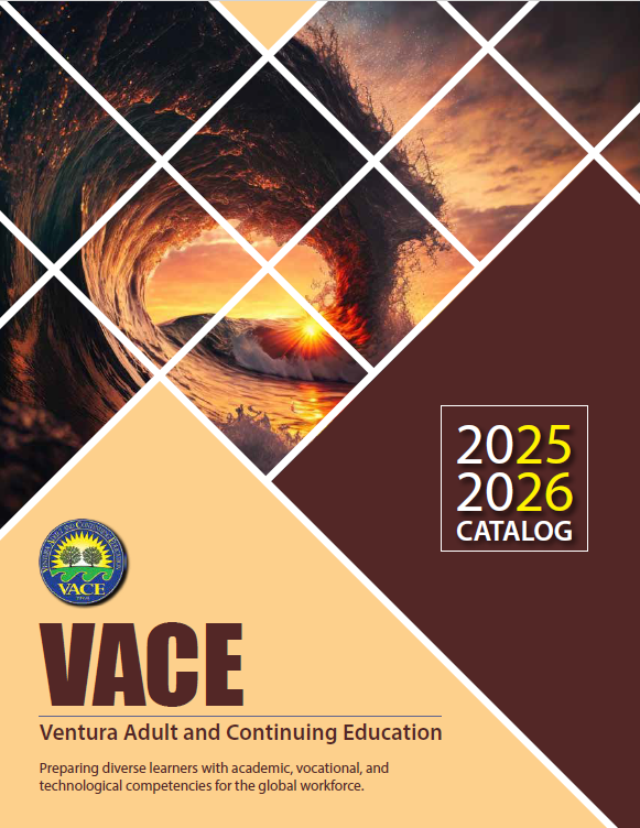 Vace Catalog